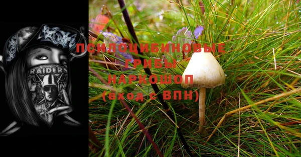 экстази Кукмор