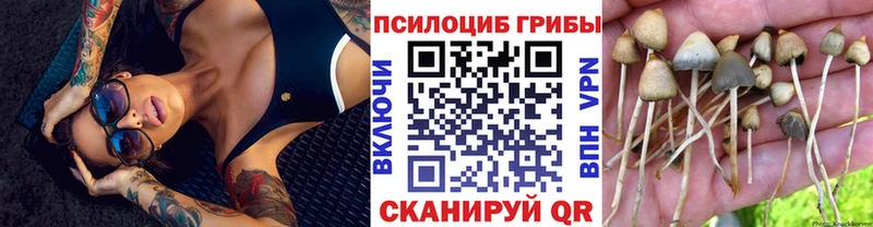 Псилоцибиновые грибы MAGIC MUSHROOMS Байкальск