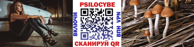 Псилоцибиновые грибы ЛСД  Купить  Байкальск 