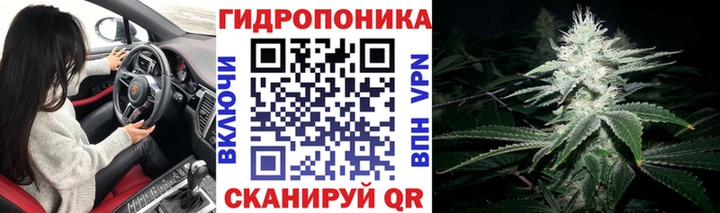 МАРИХУАНА план  Купить где  Байкальск 